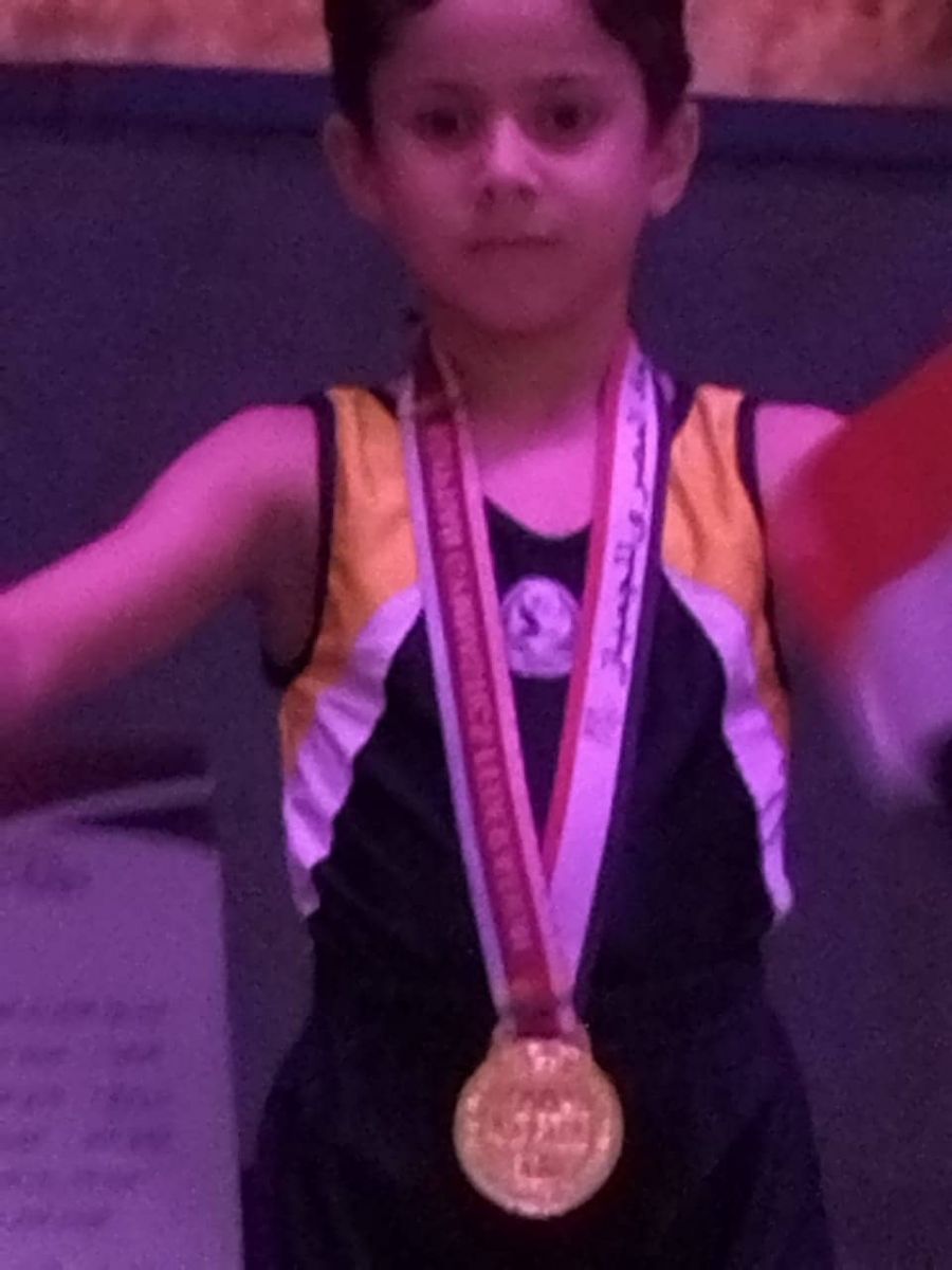 محمد حامد والبراء الحارث يفوزون بذهبية بطولة الجمهورية للجمباز