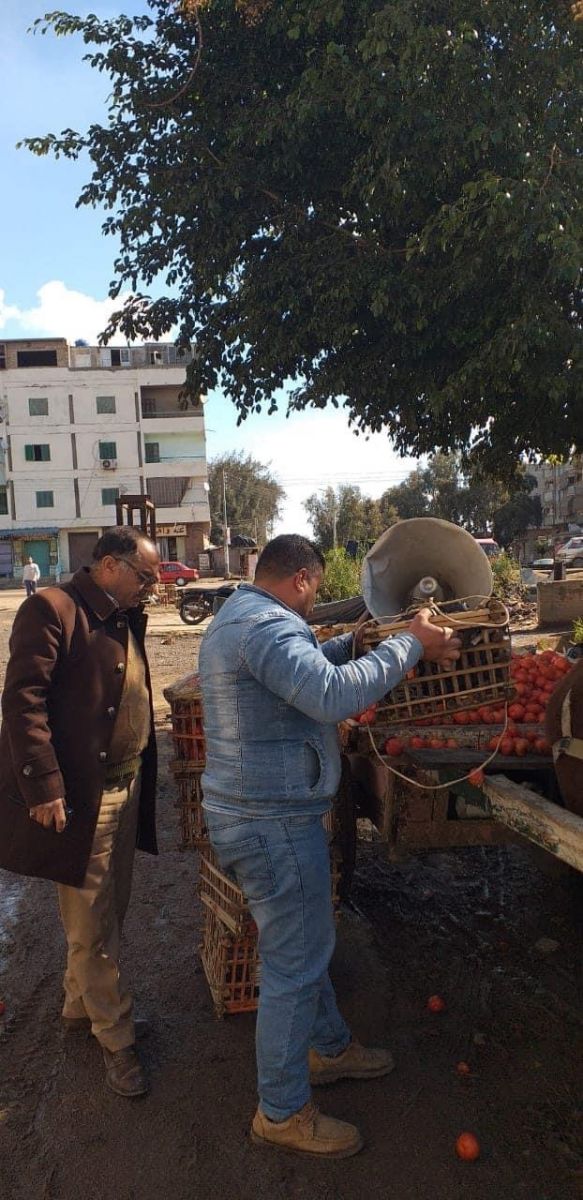 جانب من الحملة