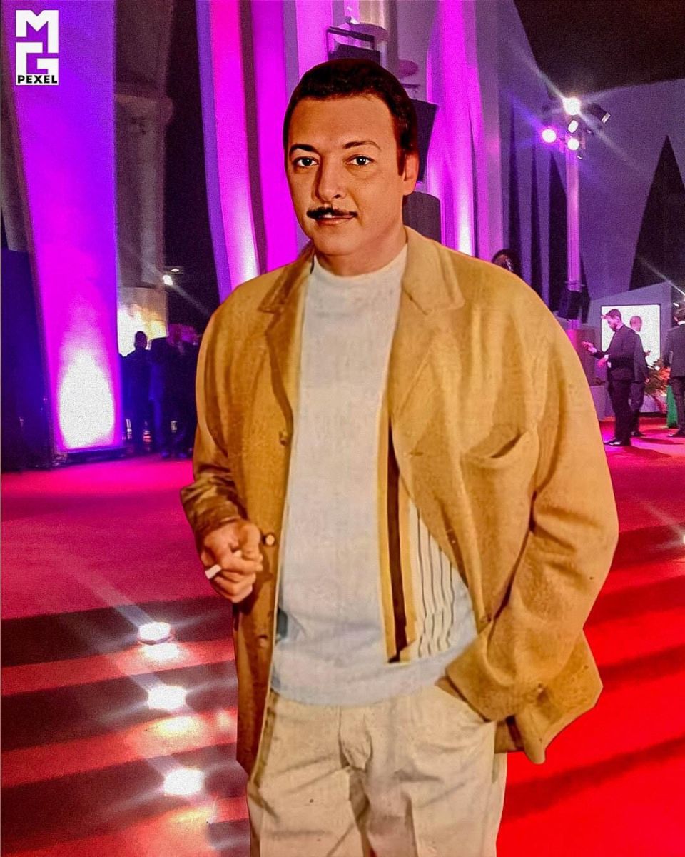 مهرجان الجونة