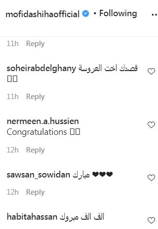 مفيدة شيحة 