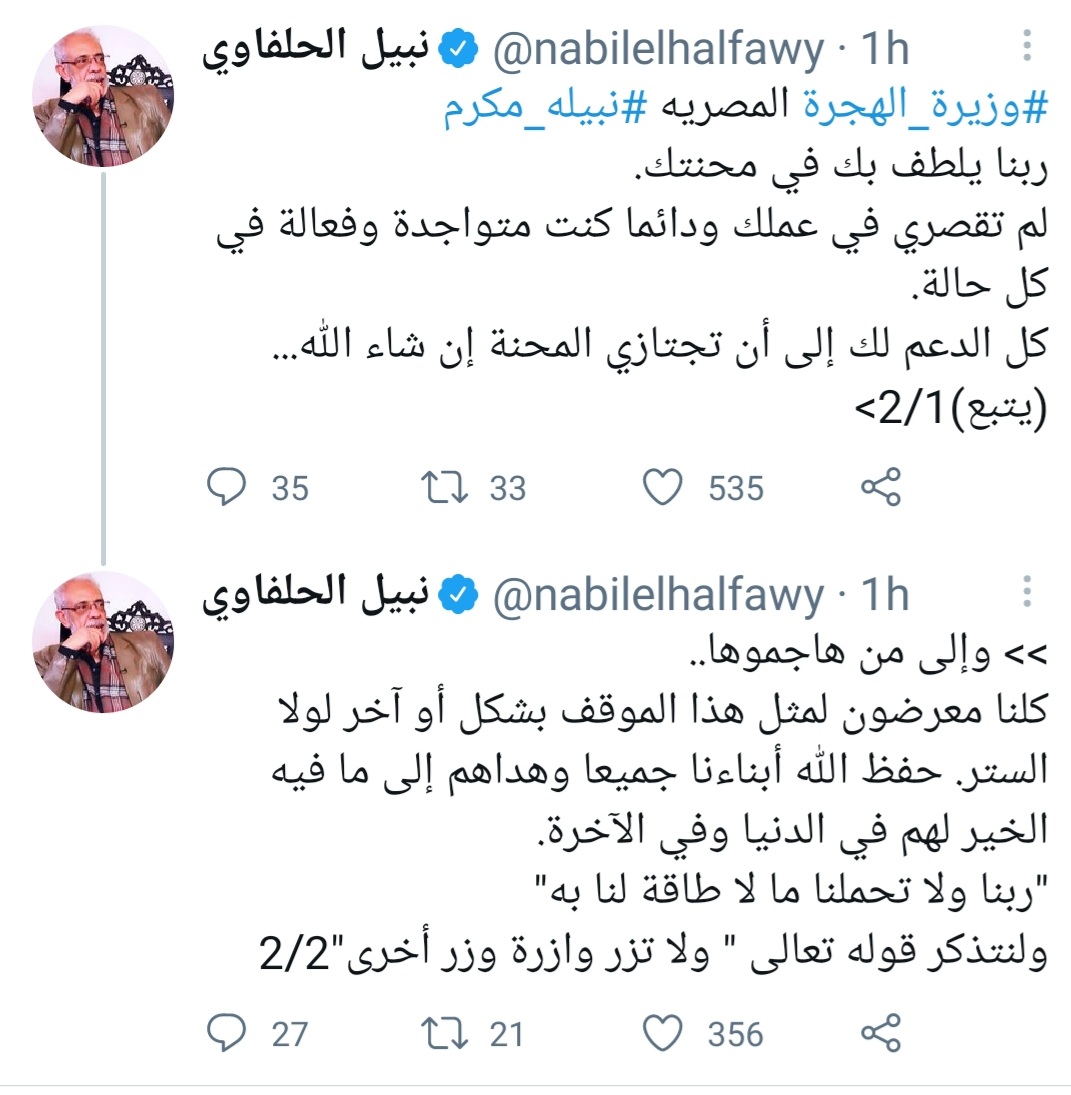 نبيل الحلفاوي