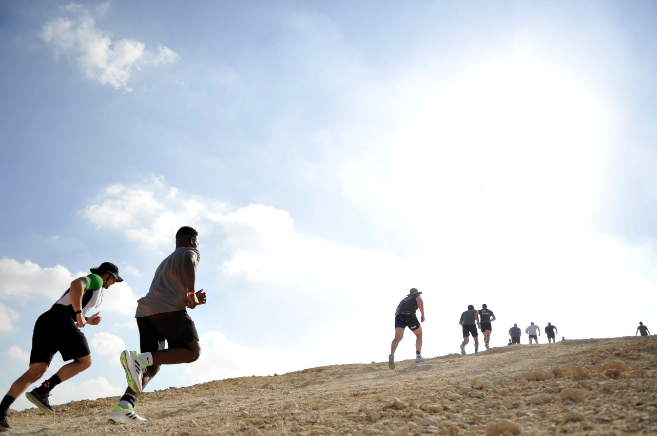 ماراثون الفيت «EL FIT» بمحمية «وادى دجلة»