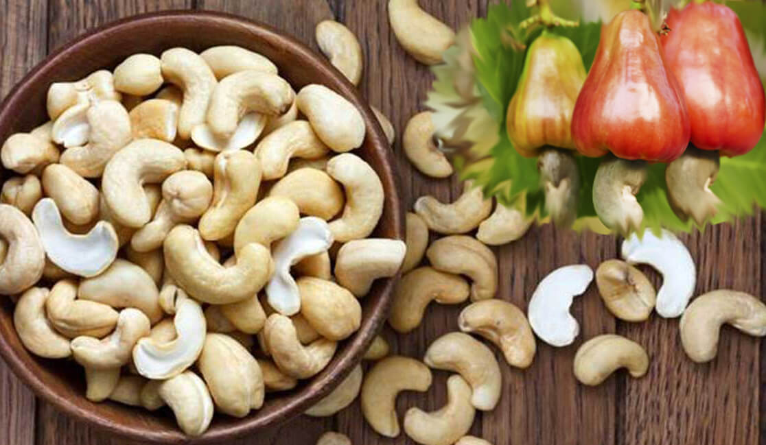 فوائد الكاجو