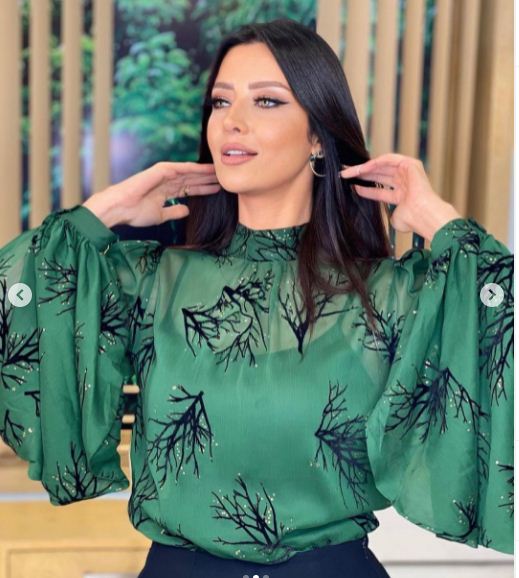 هيفاء وهبي 