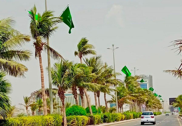 اليوم الوطني السعودي 91