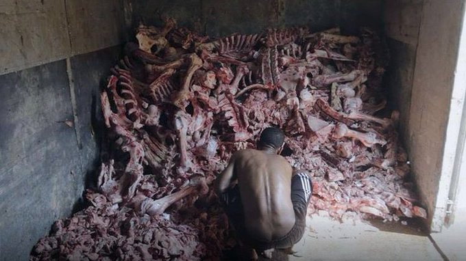 فقراء يبحثون عن فتات اللحم وسط أكوام من العظام وبقايا جثث الحيوانات