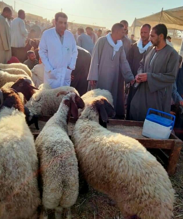 اللجان البيطرية