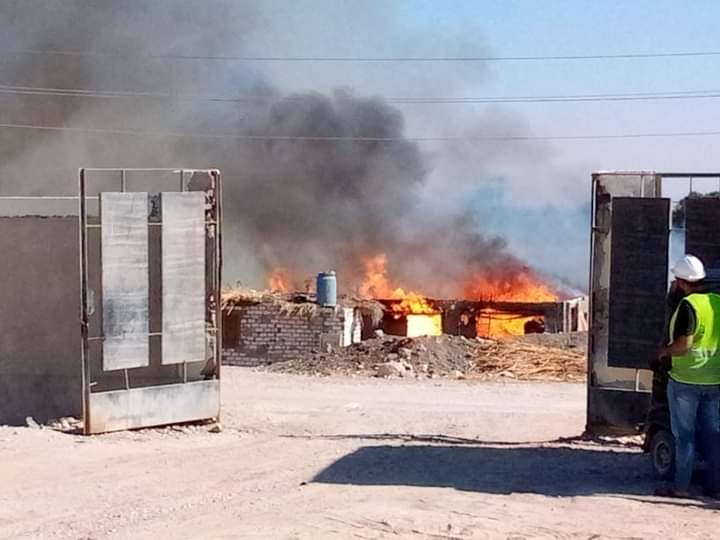 حريق مزرعة دواجن بقنا