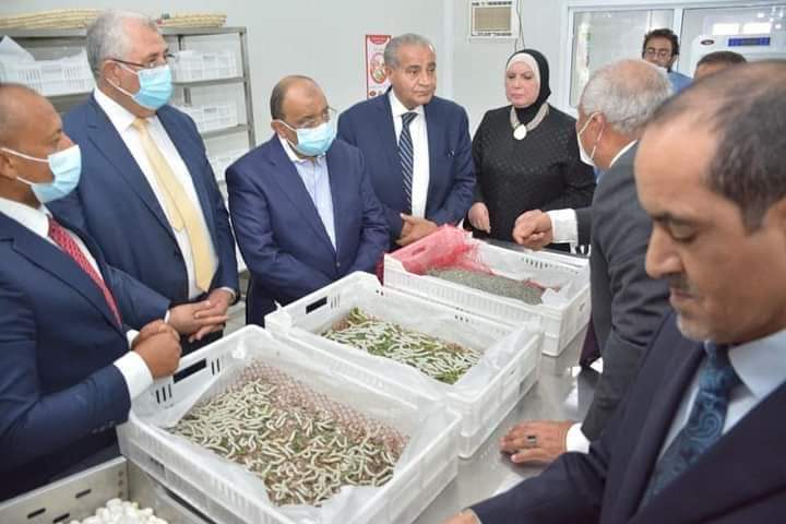 افتتاح واحة الحرير بالوادي الجديد