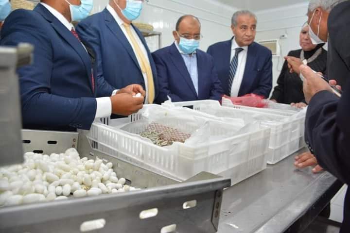 افتتاح واحة الحرير بالوادي الجديد