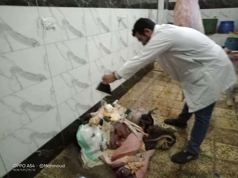 ضبط 380 كيلو لحمة مصابة بالحمى القلاعية 