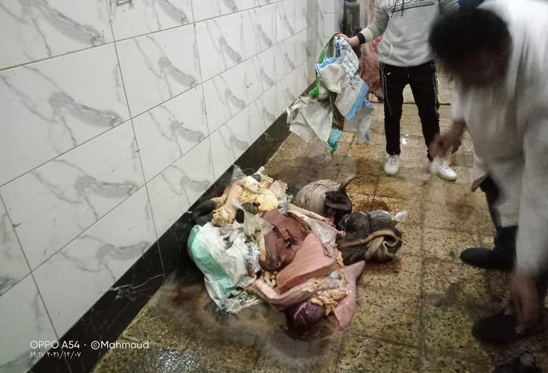 ضبط 380 كيلو لحمة مصابة بالحمى القلاعية 