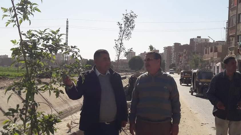 محلية أخميم تواصل أعمال زراعة الأشجار بقرية نيدة