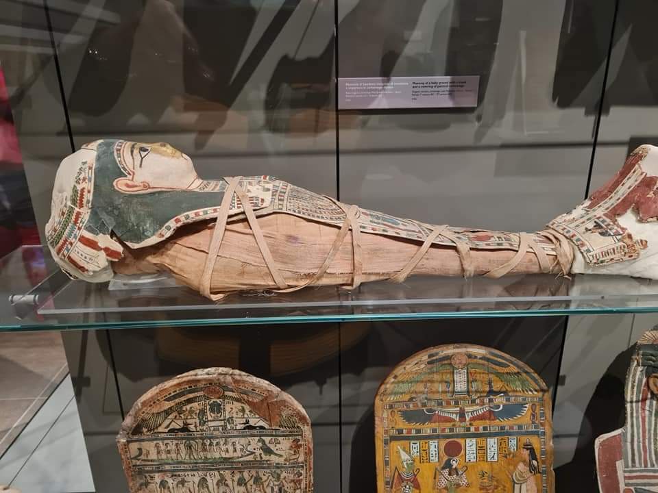 المصريون في إيطاليا يختتمون 2021 بزيارة إلى المتحف المصري بتورينو.. صور