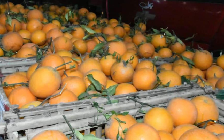 انخفاض أسعار الخضروات والفاكهة بأسواق الفيوم