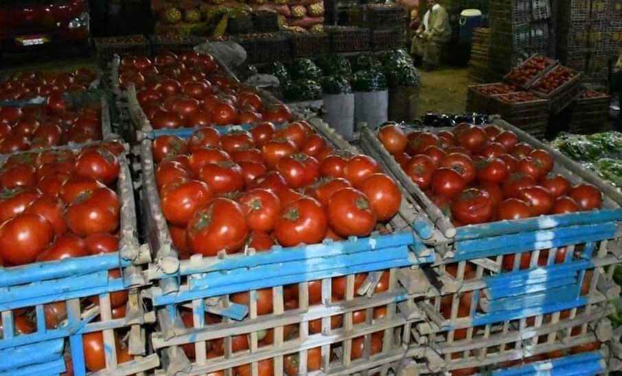 استقرار أسعار الخضروات والفاكهة في أسواق بالفيوم