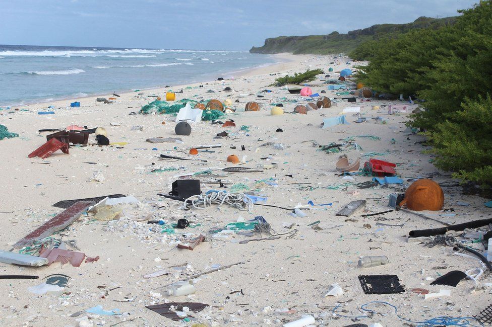 جزيرة هندرسون تجذب النفايات بطريقة غريبة