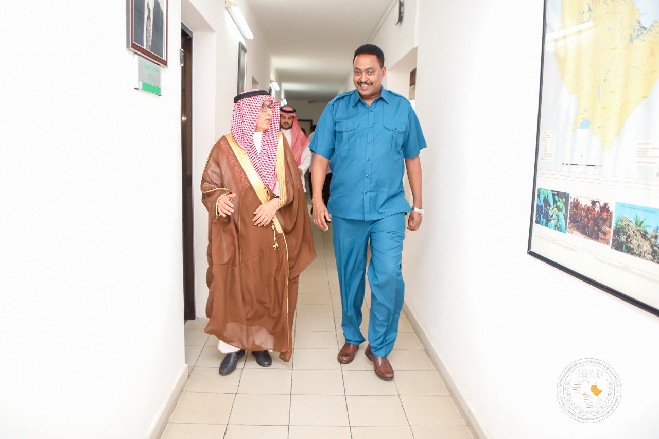 السعودية وجيبوتي