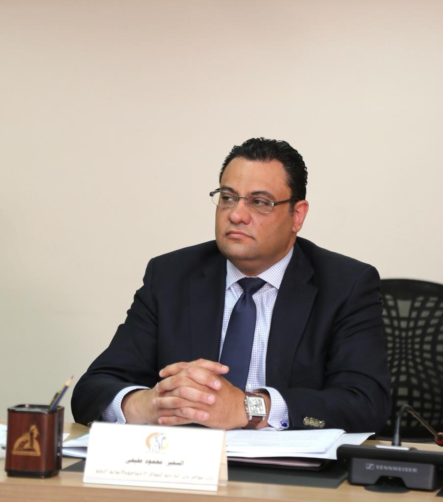 السفير محمود عفيفي