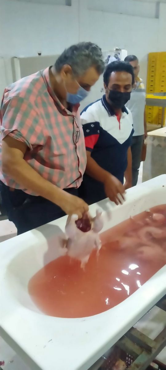 ضبط 7 طن من اللحوم والدواجن ومنتجاتها الغير صالحة للاستهلاك الآدمي 