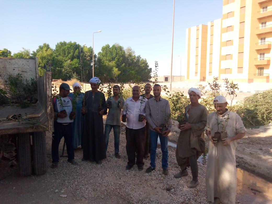 زراعة 100 شجرة