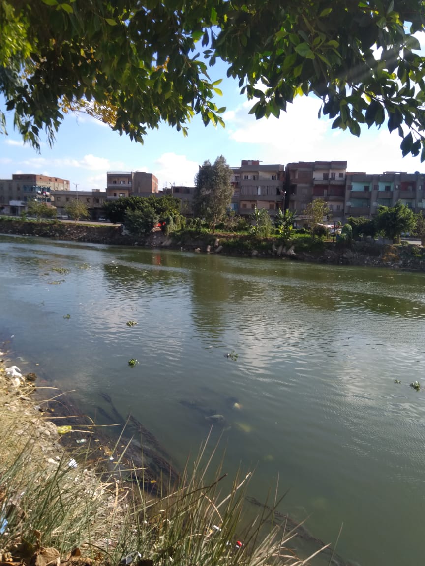 طقس معتدل وشمس ساطعة على مدن ومراكز الدقهلية