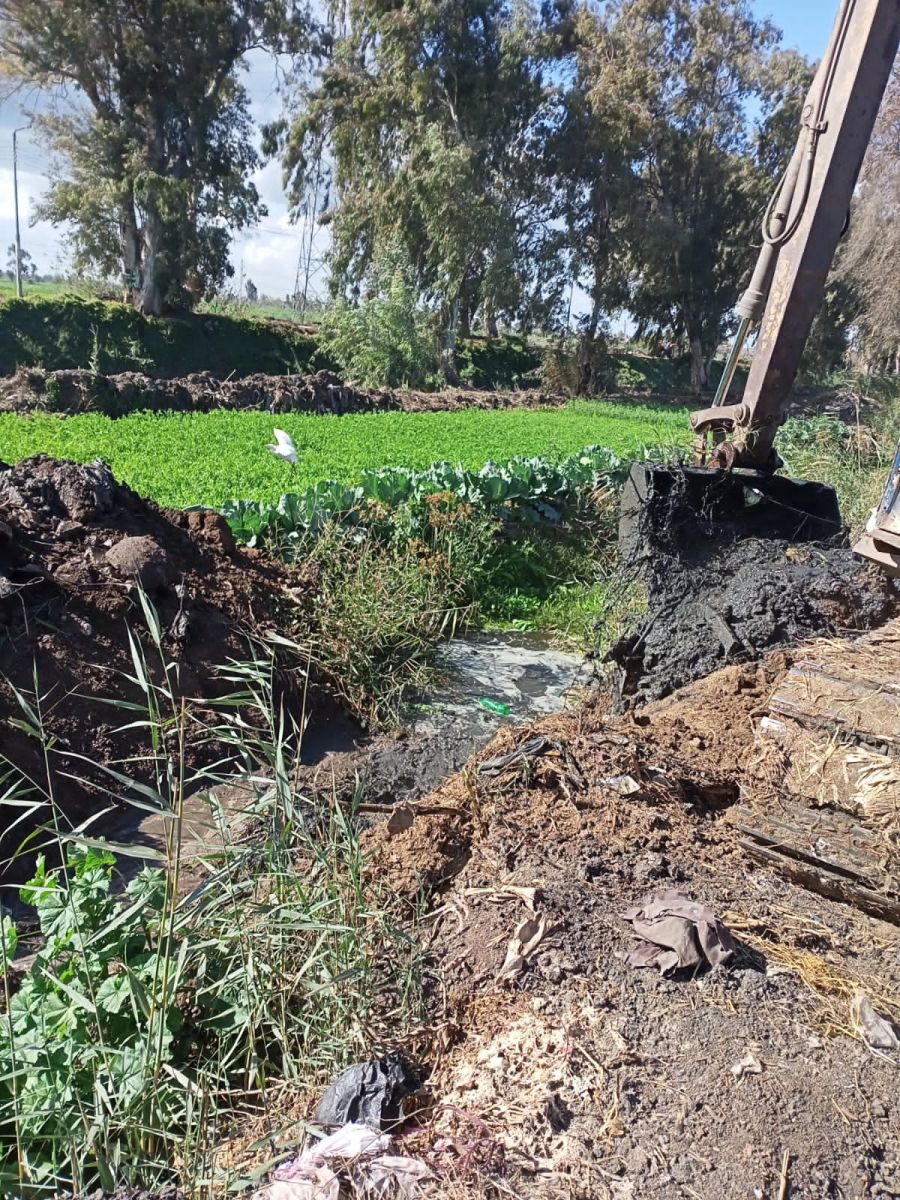 الحملة المقامة 