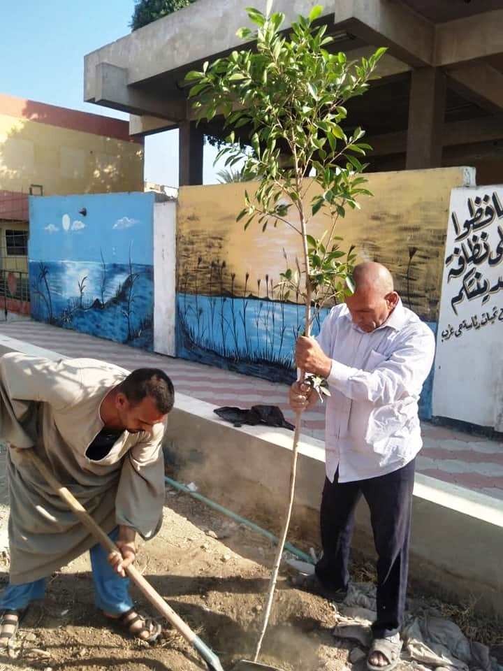بمبادرة " أحلى وهي خضرة " .. زراعة 1375 شجرة بحي غرب سوهاج