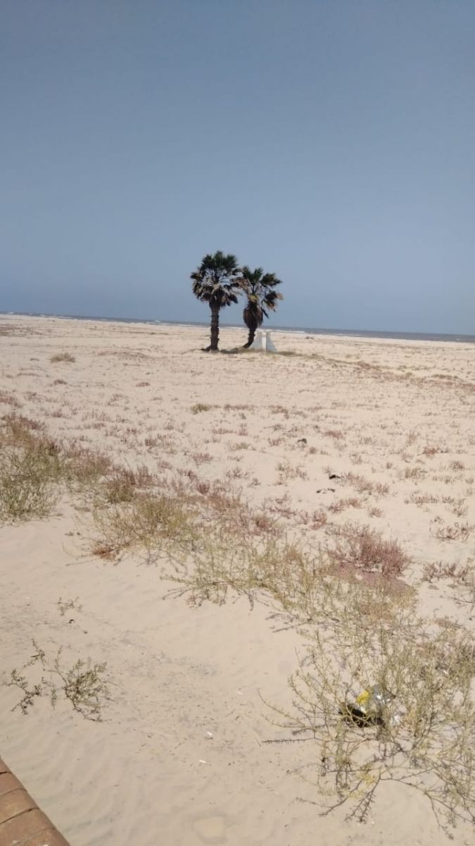 مصيف جمصة بين الإهمال وسوء الخدمات