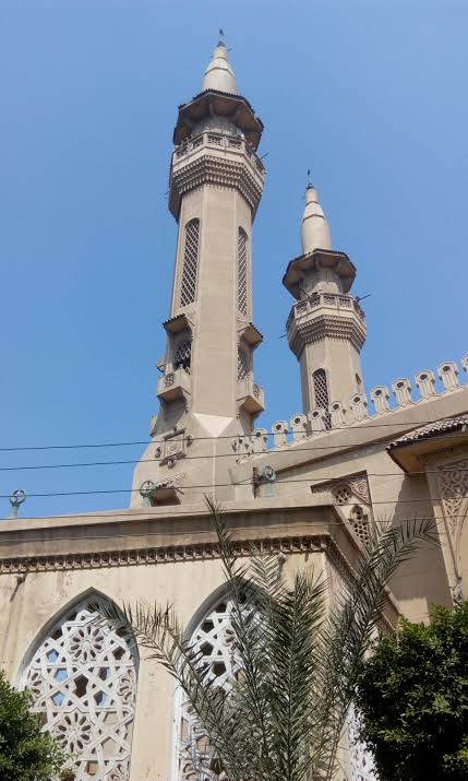 قرية ميت دمسيس بالدقهلية 