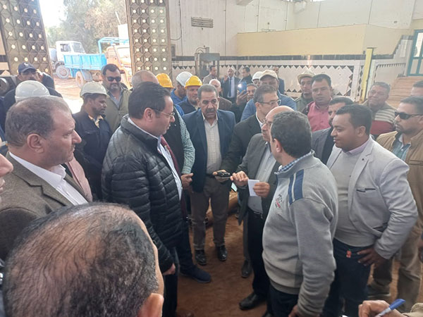 وفد زراعة النواب يتفقد مزارع النخيل بالوادي.. ورئيس اللجنة: فرص استثمار ناجحة