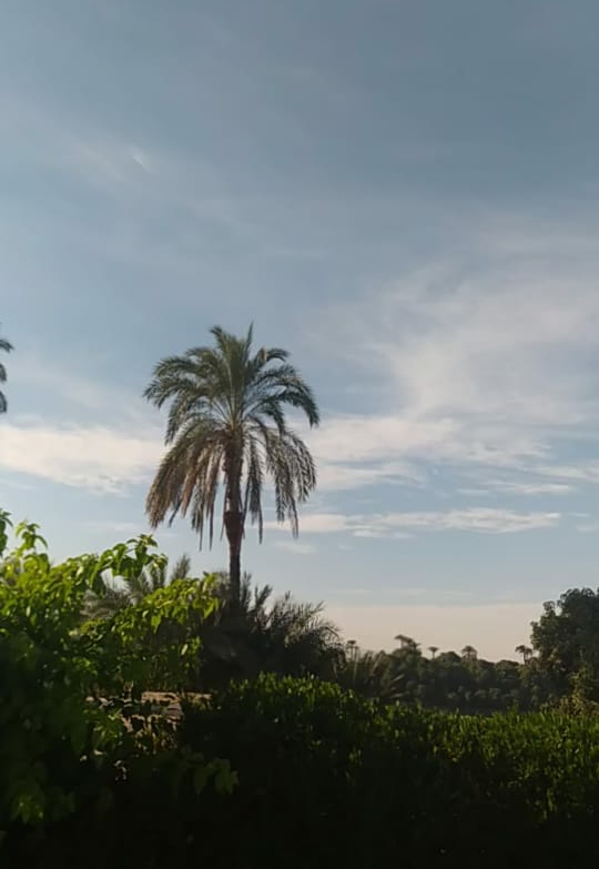 سحب كثيفة وانخفاض في درجة الحرارة بالاقصر | صور