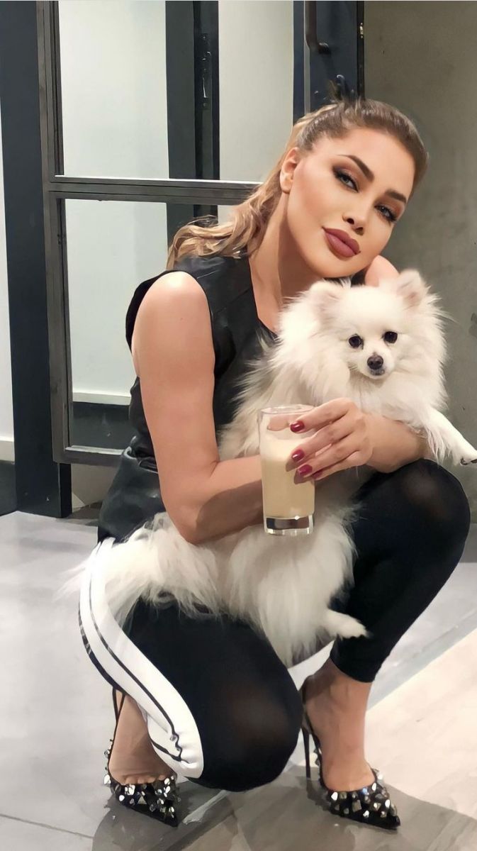 نوال الزغبي