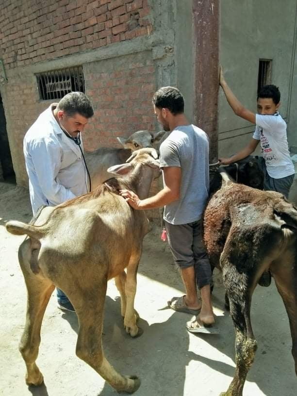 قافلة بيطرية