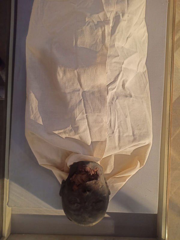 المتاحف المصرية تحتفل بذكرى مرور 100 عام على اكتشاف مقبرة الفرعون الذهبي توت عنخ آمون