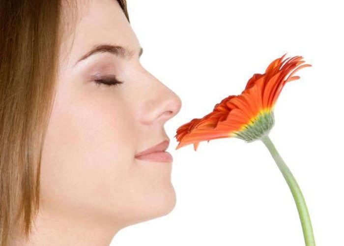 فقدان حاسة الشم