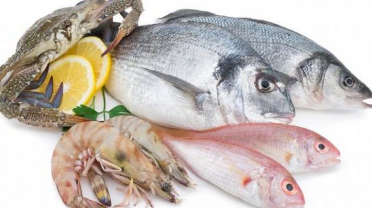 اسعار الاسماك