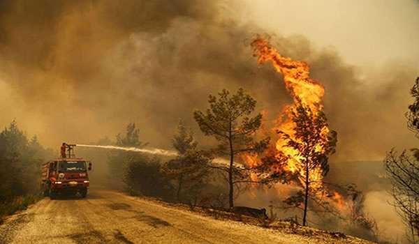 حرائق الغابات في الجزائر