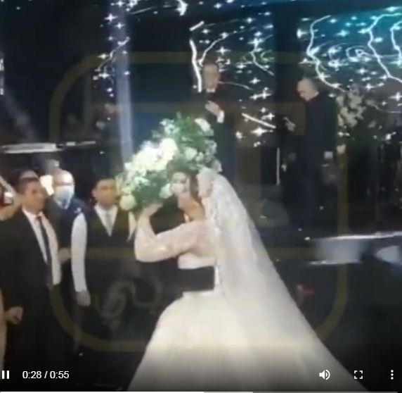 حفل زفاف ابنة ماجد المصري