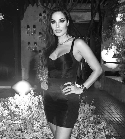 نادين نسيب نجيم