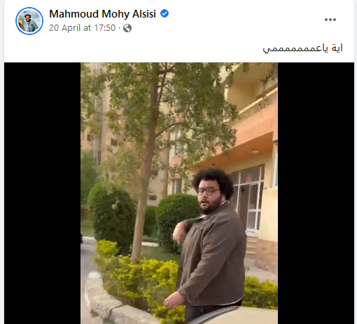 محمود السيسي