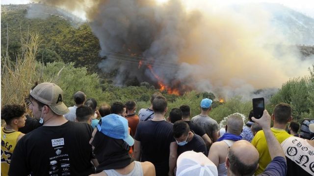 حرائق الغابات في الجزائر 