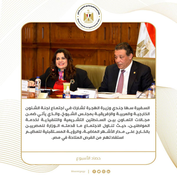 حصاد نشاط وزارة الهجرة خلال أسبوع (انفوجراف)