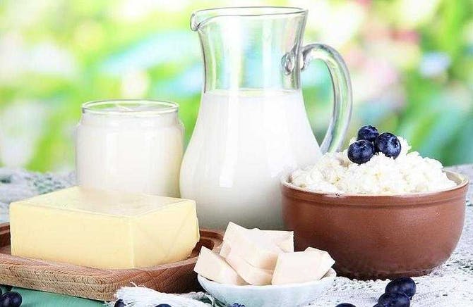 حليب الالبان