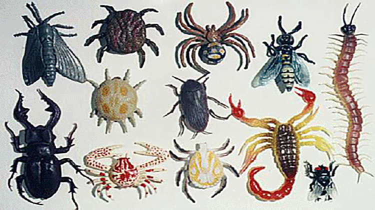  مفصليات الأرجل البدائية