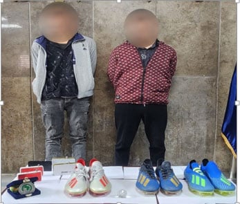 المتهمون بسرقة فيلا بالقاهرة