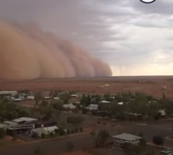 سهير البالي