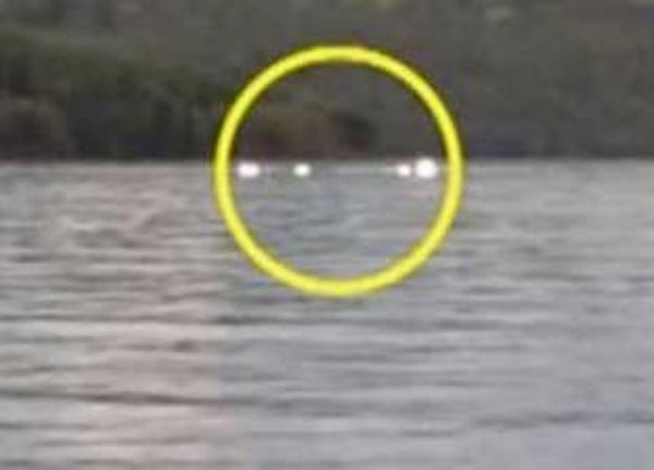   الرجل الذي أرعب الصياد