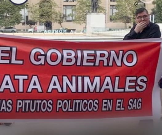 احتجاجات في تشيلي