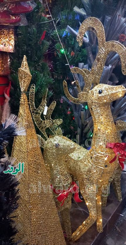 اشجار الكريسماس لعام 2022
